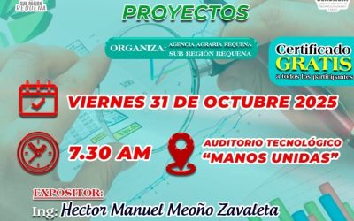 Curso de Capacitación: «Formulación y Evaluación de Proyectos»